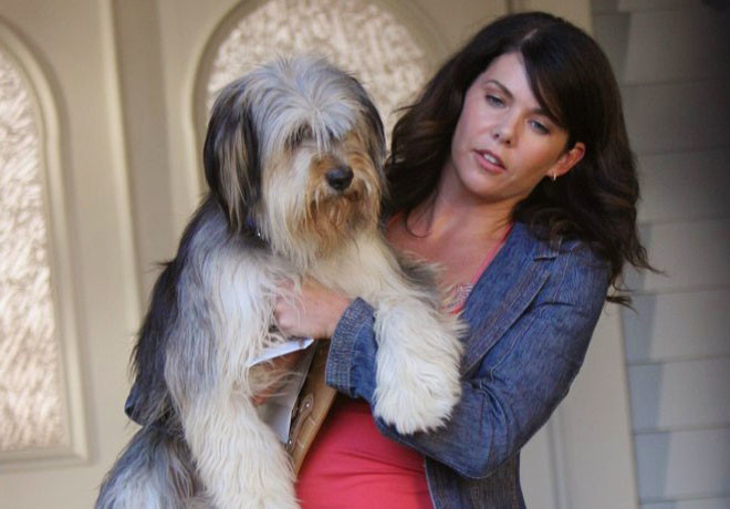 Gilmore Gils - Lorelai - Paul Anka