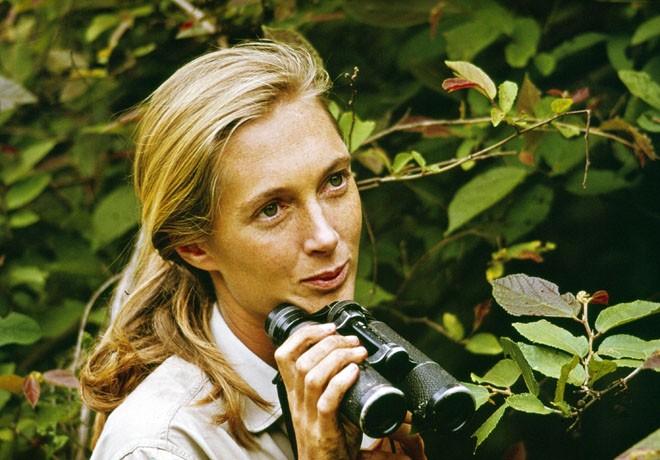 National Geographic - Jane - Jane Goodall 1