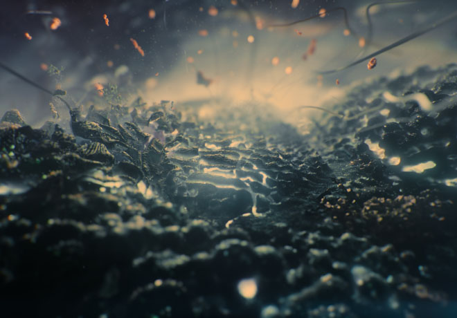 National Geographic estrena "One Strange Rock". | Cine y más... ::: 21 ...