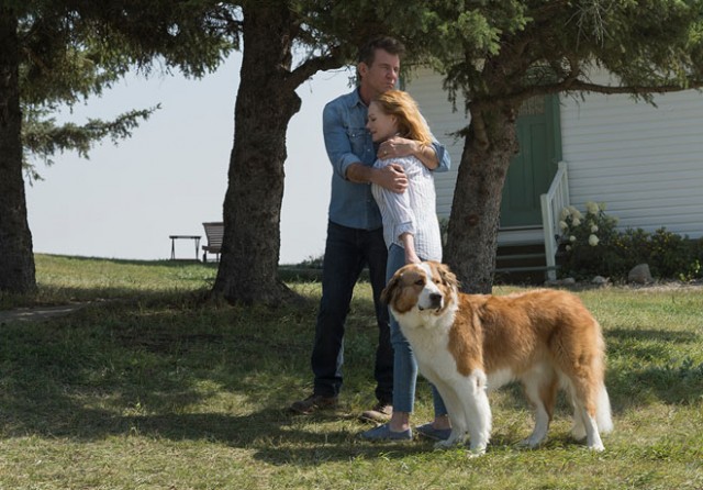 La Razón de Estar Contigo: Un Nuevo Viaje (A Dog's Journey) | Cine y